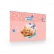 Protecție birou pentru fete – model Little Kitty,  Oxybag